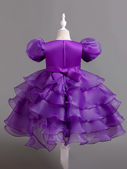 Girls Puff Sleeve Dress Bow Princess Dress