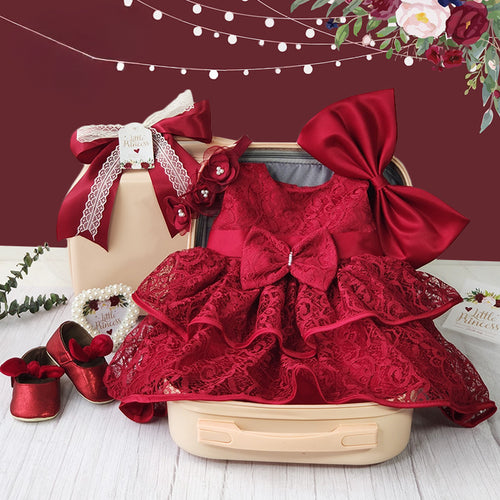newborn girl dress and shoes gift set